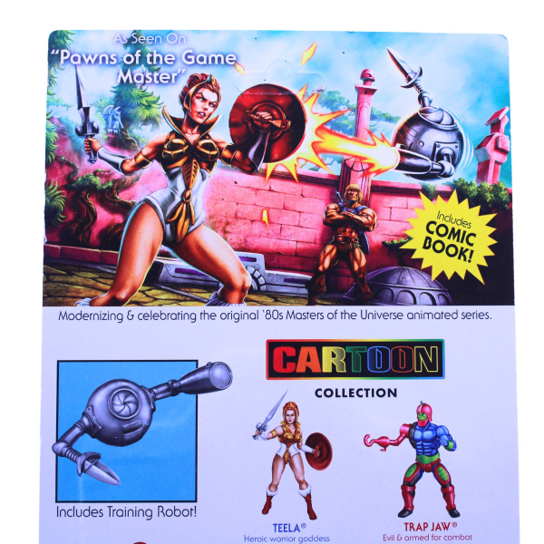 Masters of the Universe Cartoon Collection Actionfigur 2024 Teela 14 cm von Mattel